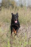 BEAUCERON 358